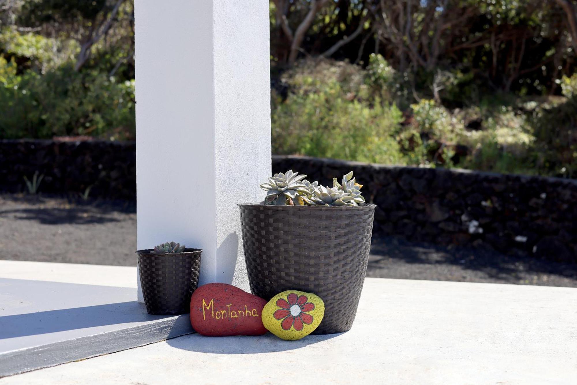 Vista Montanha Villa Madalena  Ngoại thất bức ảnh